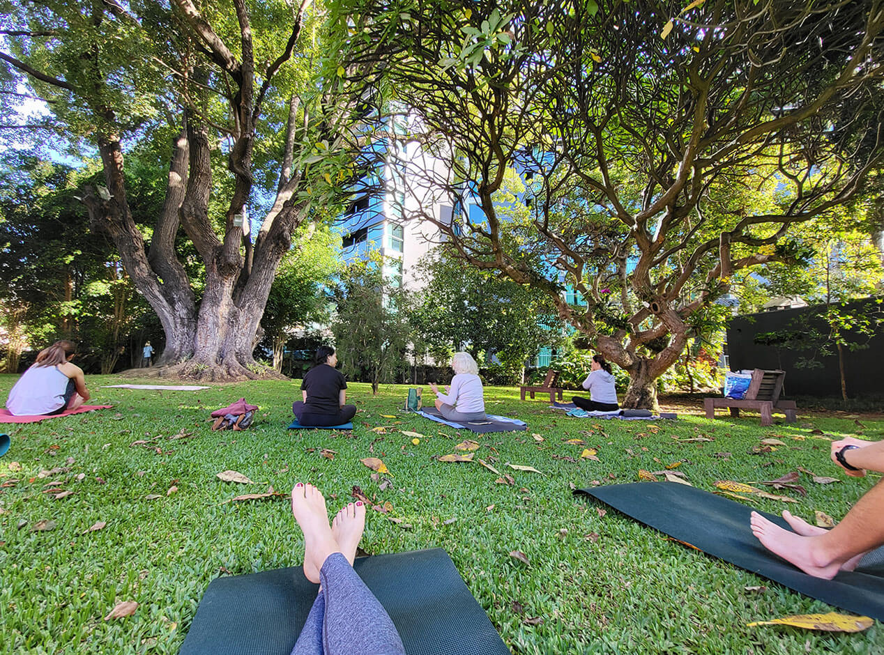 Joga na Maderze
